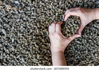 Male Hands Folded In Shape Of Heart Holding Handful Of Granulated Rapeseed Meal. Concept Of Organic Supplement In Production Of Compound Feed For Livestock Animals..