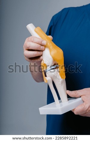 Male hands holding model maquette of knee joint patella [[stock_photo]] © 