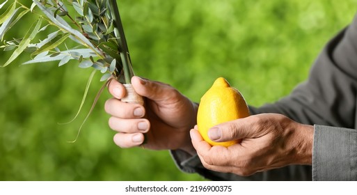 Male Hands Holding Sukkot Festival Symbols On Green Background