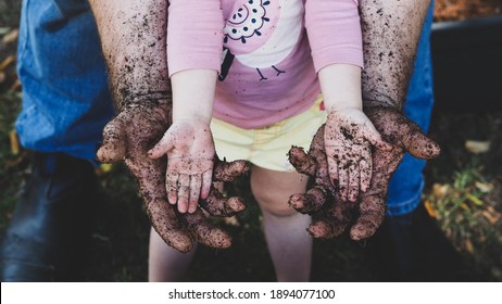 Male hands with toddler girl hands dirty from gardening. Father and daughter gardening together in dirt. - Powered by Shutterstock