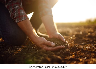 Male hands touching soil on the field. Expert hand of farmer checking soil health before growth a seed of vegetable or plant seedling. Business or ecology concept.