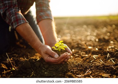Male hands touching soil on the field. Expert hand of farmer checking soil health before growth a seed of vegetable or plant seedling. Business or ecology concept. - Shutterstock ID 2069885585