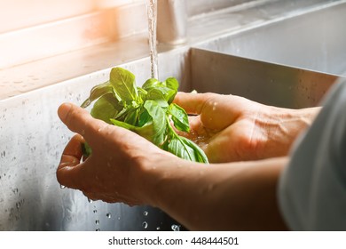 Male hands wash spinach. Spinach leaves washed in sink. Main ingredient for tasty salad. Don't forget to clean products. - Powered by Shutterstock