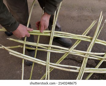 Male Hands Weaving From Freshly Planed Tree Branches, Weaving From Willow A Decorative Fragment In A Rural Yard, Making Wattle From Willow Branches Handmade