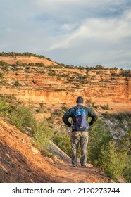 Male hiker descending on a steep trail into Ute Canyon in Colorado National Monument, morning spring scenery