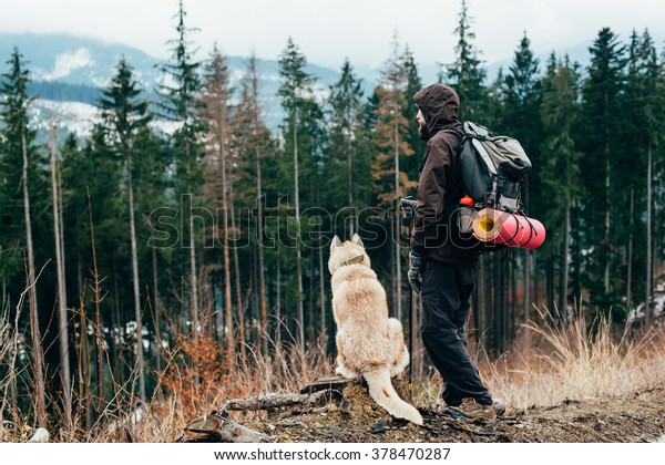 siberian husky hiking