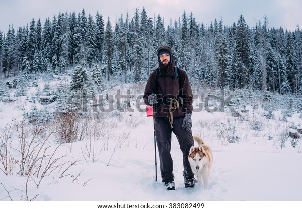 siberian husky hiking