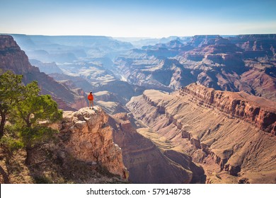 A Male Hiker Is Standing On A Steep Cliff Taking In The Amazing View Over Famous Grand Canyon On A Beautiful Sunny Day With Blue Sky In Summer, Grand Canyon National Park, Arizona, USA