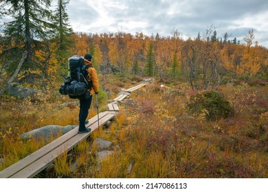 Male hiker in yellow jacket with heavy backpack and hiking poles walks through the landscape of Pallas-Yllastunturi national park in Finnish Lapland. Cloudy day of autumn in arctic Finland. - Shutterstock ID 2147086113