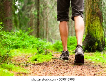 Male Hiking In The Woods. 