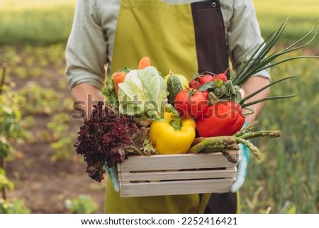 A male holding basket with fresh vegetables in garden, gardening concept