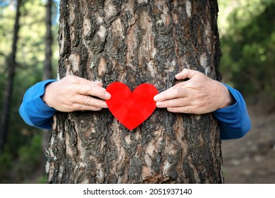 Male human arms embracing a tree trunk in the forest, holding heart shaped paper. Save planet from deforestation concept