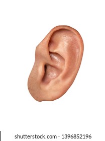 Male Human Ear Close-up Isolated  