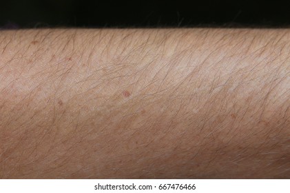 Male Human Skin And Hair Close Up Macro