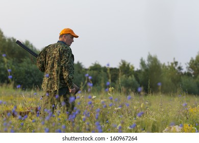 Male Hunter With His Dog At Field Hunting Quail Birds.