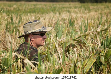 Male Hunter Waits In Cut Corn Field For Doves To Fly Over.  Dove Hunting Season Begins In September (fall, Autumn) In Texas.  Color, Horizontal Image With Room For Copy.