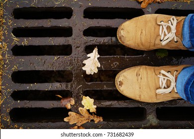 Male Leather Shoes Of Tourist Stand On Drain Cover That Fill Of Falling Yellow And Brown Oak Leaves.autumn Cleaning In The Park.sewer Manhole On Dark Asphalt With Autumnal Leaves 