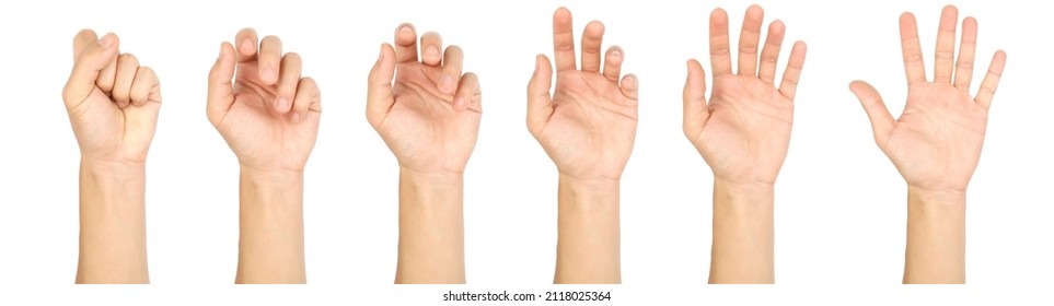 Male Left Hand Symbol Gesture Isolated Stock Photo 2118025364 