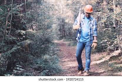 Männlicher Holzfäller im Wald. Der professionelle Holzfäller kontrolliert Bäume zum Abfällen.