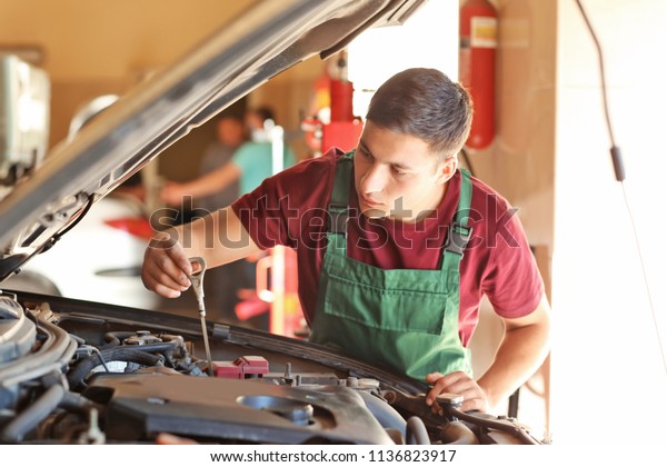 Male\
mechanic checking level of oil in car\
engine