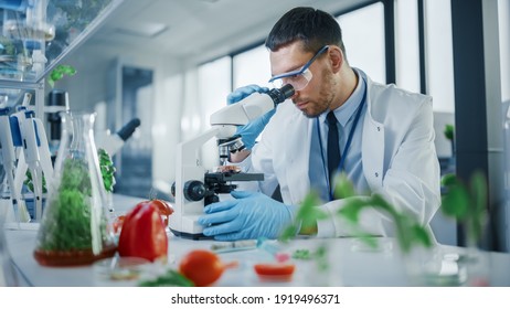 Male Microbiologist Looking at a Lab-Grown Cultured Vegan Meat Sample in a Microscope. Medical Scientist Working on Plant-Based Beef Substitute for Vegetarians in a Modern Food Science Laboratory.