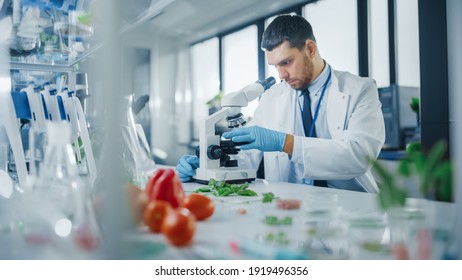 Male Microbiologist Puts Lab-Grown Cultured Vegan Meat Sample under Microscope for Analysis. Medical Scientist Working on Plant-Based Beef Substitute for Vegetarians in Modern Food Science Laboratory.
