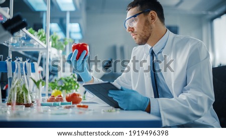 Male Microbiologist in Safety Glasses with Tablet Computer Analyzing a Lab-Grown Tomato. MMicrobiologist Working on Molecule Samples in Modern Food Science Laboratory with Technological Equipment.