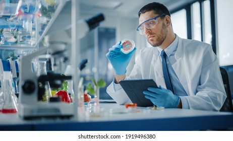 Male Microbiologist Working On Tablet Computer And Examining A Lab-Grown Vegan Meat Sample. Medical Scientist Working On Plant-Based Beef Substitute For Vegetarians In Modern Food Science Laboratory.