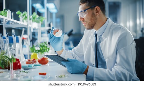 Male Microbiologist Working On Tablet Computer And Examining A Lab-Grown Vegan Meat Sample. Medical Scientist Working On Plant-Based Beef Substitute For Vegetarians In Modern Food Science Laboratory.