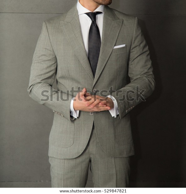 Male Model Grey Suit Posing Stock Photo 529847821 | Shutterstock