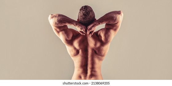 Male naked, healthy musculars guy, torso man, isolated. Man with muscular arms, triceps. Waist, waistline. Guy with beautiful torso.