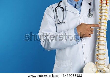 Male orthopedist with human spine model against blue background, closeup. Space for text
