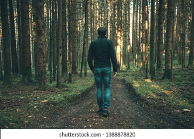 Male Person Walks Alone Sunny Forest Stock Photo 1388878820 | Shutterstock