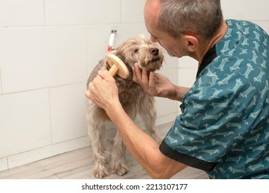 Male Pet Groomer Brushing A Dog