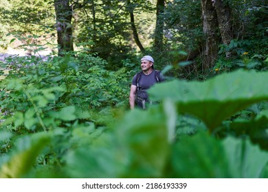 Male Photographer Hiking On A Trail In A Lush Forest With His Backpack