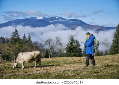 Male photographer taking picture of farm animal on alpine grassy meadow with foggy mountains on background - Powered by Shutterstock