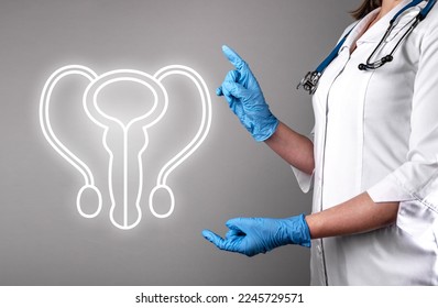 Male reproductive system with organs, penis, urethra. Genital health care. High quality photo