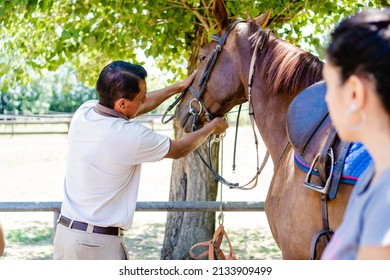 Male Riding Instructor, Teaching His Student How To Put On The Bridle And The Mouth-lock.