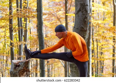 Male Runner Stretching Outdoors In Autumn Forest In Mountains. Standing Hamstring Stretch On Stump.