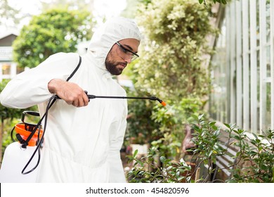 Male scientist in clean suit spraying pesticides on plants at greenhouse - Powered by Shutterstock