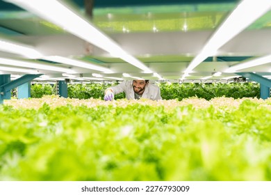 Male scientist wear white uniform working in organic, hydroponic vegetables plots growing on indoor vertical farm, analyzes and studies research organic vegetables - Powered by Shutterstock