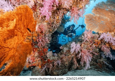 Male Scuba diver with camera posing through colorful soft coral reef and Giant Gorgonian Sea Fan coral at North Andaman, a famous scuba diving dive site and stunning underwater landscape in Thailand.