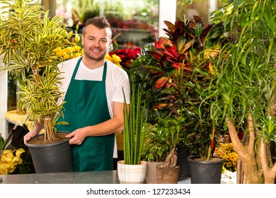 Male Shop Assistant Potted Plant Flower Working Smiling