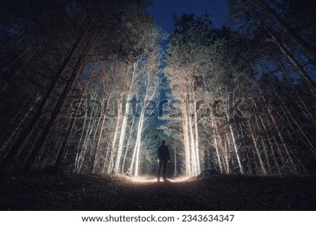 Male silhouette in the forest. A man explores a dark pine forest. Man with light in the forest. Darkness around a man with a flashlight. Silhouette of a man standing in a dark forest.