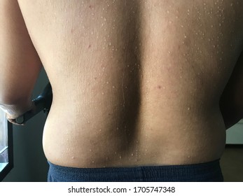 Male Sweaty Back After Running On Treadmill.