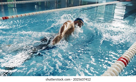 Male Swimmer Swimming in a Pool. Professional Athlete Performing at Championship, using Front Crawl, Freestyle Technique. Determination to Win. High Angle Shot - Powered by Shutterstock