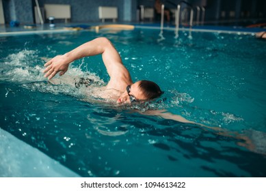 Male Swimmer Swims On Workout In Swimming Pool