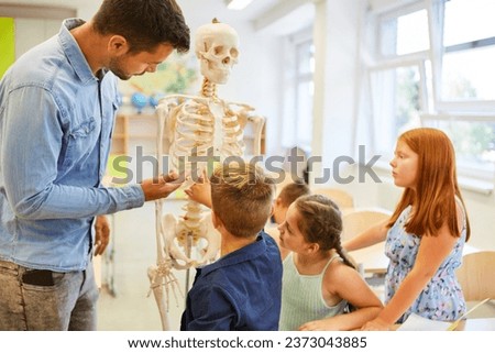 Male teacher explaining human skeleton to elementary students in classroom