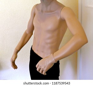 Male Torso Mannequin Half Naked Headless Foto De Stock Shutterstock