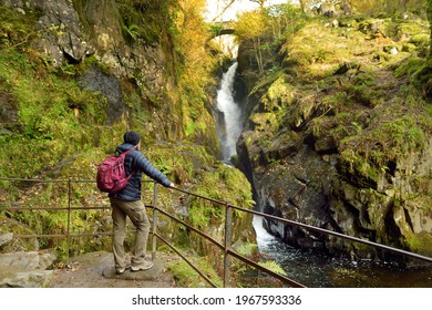 Male tourist enjoying famous Aira Force waterfall on Aira Beck stream, located in the Lake District, Cumbria, UK. - Powered by Shutterstock